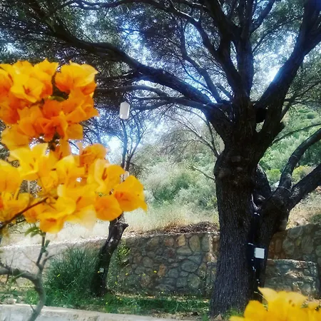 Ipekce 3* Mesudiye (Datca)