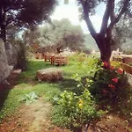 Ipekce Mesudiye (Datca)