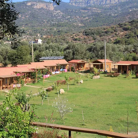 Ipekce Hotel 3*
